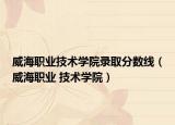 威海職業(yè)技術(shù)學(xué)院錄取分數(shù)線（威海職業(yè) 技術(shù)學(xué)院）