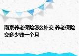 南京養(yǎng)老保險(xiǎn)怎么補(bǔ)交 養(yǎng)老保險(xiǎn)交多少錢一個(gè)月