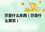 莎是什么東西（莎是什么意思）