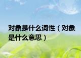 對(duì)象是什么詞性（對(duì)象是什么意思）