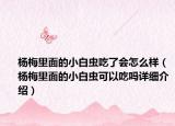 楊梅里面的小白蟲吃了會怎么樣（楊梅里面的小白蟲可以吃嗎詳細介紹）