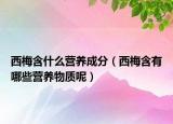 西梅含什么營養(yǎng)成分（西梅含有哪些營養(yǎng)物質(zhì)呢）