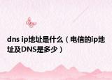 dns ip地址是什么（電信的ip地址及DNS是多少）