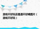 游戲不好玩還是酒不好喝圖片（游戲不好玩）