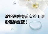 淀粉遇碘變藍實驗（淀粉遇碘變藍）