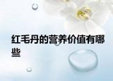紅毛丹的營(yíng)養(yǎng)價(jià)值有哪些