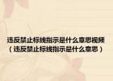 違反禁止標線指示是什么意思視頻（違反禁止標線指示是什么意思）