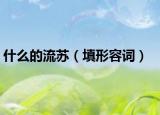 什么的流蘇（填形容詞）