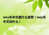 wey車(chē)中文是什么意思（wey車(chē)中文叫什么）