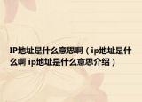 IP地址是什么意思?。╥p地址是什么啊 ip地址是什么意思介紹）