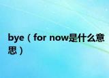 bye（for now是什么意思）