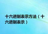 十六進制表示方法（十六進制表示）