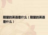 期望的英語(yǔ)是什么（期望的英語(yǔ)是什么）