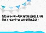 魯迅的詩(shī)中有一句風(fēng)雨如磐暗故園全詩(shī)是什么（詩(shī)名叫什么 全詩(shī)是什么意思）