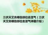 三伏天艾灸哪些部位去濕氣（三伏天艾灸哪些部位去濕氣詳細(xì)介紹）