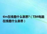 tim在線(xiàn)是什么意思?（TIM電腦在線(xiàn)是什么意思）