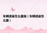 車(chē)輛違章怎么查詢(xún)（車(chē)輛違章怎么查）