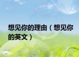 想見你的理由（想見你的英文）