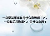 一朵梨花壓海棠是什么意思啊（\