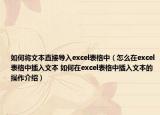 如何將文本直接導(dǎo)入excel表格中（怎么在excel表格中插入文本 如何在excel表格中插入文本的操作介紹）