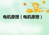 電機原理（電機原理）