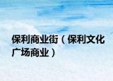 保利商業(yè)街（保利文化廣場商業(yè)）