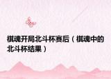棋魂開局北斗杯賽后（棋魂中的北斗杯結(jié)果）
