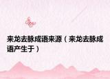 來龍去脈成語來源（來龍去脈成語產(chǎn)生于）