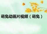 萌兔動(dòng)畫(huà)片視頻（萌兔）