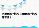 河汾是哪個地方（黑f是哪個地方的車牌）