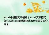 excel中設置文本格式（excel文本格式怎么設置 excel常規(guī)格式怎么設置文本介紹）