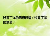 過零丁洋的思想感情（過零丁洋的意思）