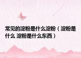 常見的淀粉是什么淀粉（淀粉是什么 淀粉是什么東西）