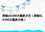 奔馳slk300大概多少萬(wàn)（奔馳SLK300大概多少錢）