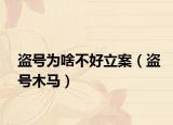 盜號(hào)為啥不好立案（盜號(hào)木馬）