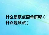 什么是質點簡單解釋（什么是質點）