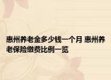 惠州養(yǎng)老金多少錢一個(gè)月 惠州養(yǎng)老保險(xiǎn)繳費(fèi)比例一覽