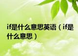 if是什么意思英語(yǔ)（if是什么意思）