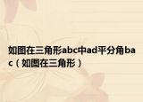 如圖在三角形abc中ad平分角bac（如圖在三角形）
