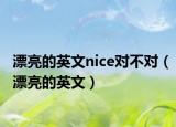 漂亮的英文nice對(duì)不對(duì)（漂亮的英文）