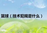 籃球（技術(shù)犯規(guī)是什么）