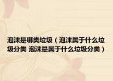 泡沫是哪類垃圾（泡沫屬于什么垃圾分類 泡沫是屬于什么垃圾分類）