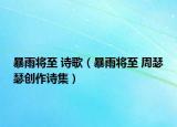 暴雨將至 詩(shī)歌（暴雨將至 周瑟瑟?jiǎng)?chuàng)作詩(shī)集）