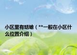 小區(qū)里有蛞蝓（**一般在小區(qū)什么位置介紹）