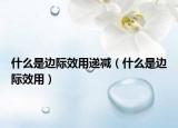 什么是邊際效用遞減（什么是邊際效用）