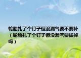輪胎扎了個釘子但沒漏氣要不要補（輪胎扎了個釘子但沒漏氣要拔掉嗎）