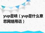yup是啥（yup是什么意思網(wǎng)絡用語）