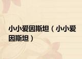 小小愛因斯坦（小小愛因斯坦）