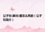 公子壯(嬴壯)是怎么死的（公子壯簡介）