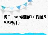 榪．sap鍩硅（尚迪SAP培訓(xùn)）